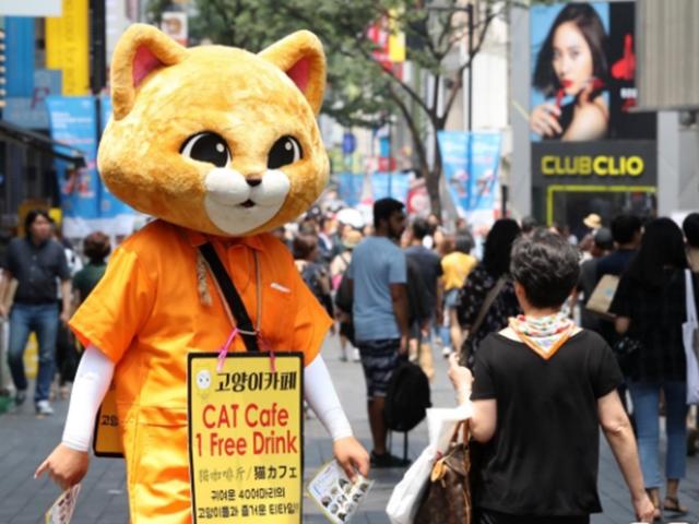 땡볕아래 전단지 돌리고 전신주 오르고…고달픈 <strong>혹서기</strong> 노동자