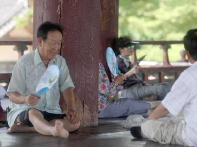 [슬기로운 폭염대처<strong>법</strong> ①] 체온조절 잘 안 되는 고령층, 정오~오후 5시 외출 자제하세요