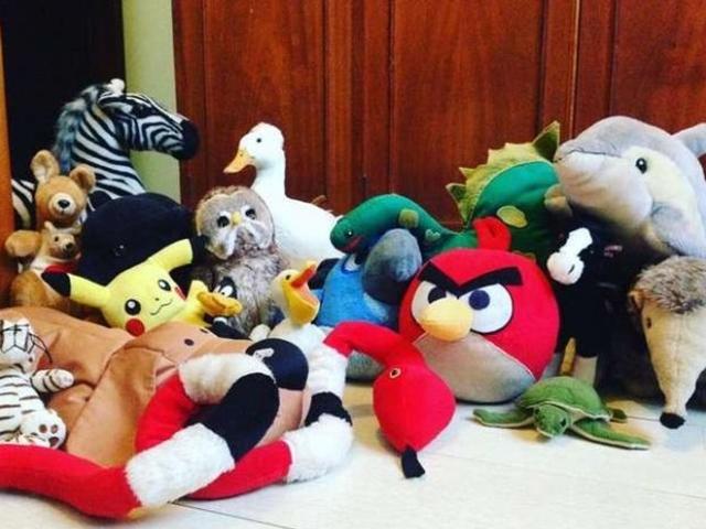 "진짜 동물을 찾아라!".. 숨은그림찾기 끝판왕
