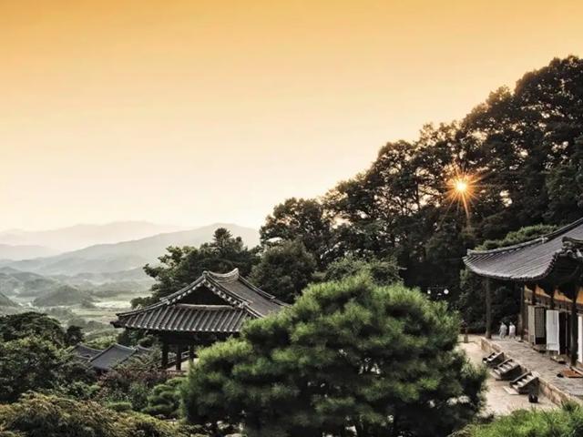 불금, 山寺의 초대