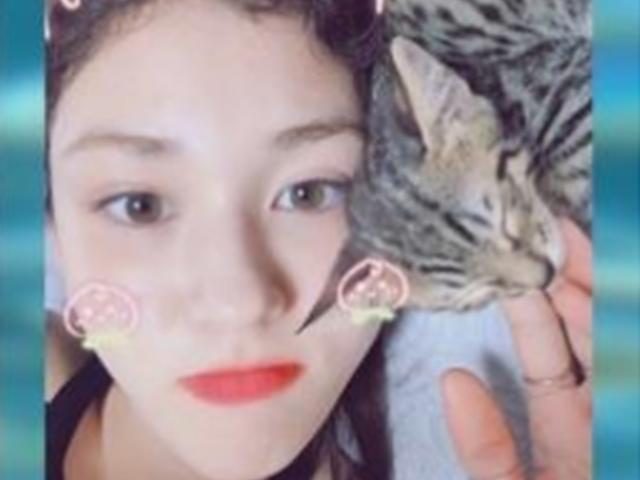 "잘 지내는 것 같아 보기 좋아" 전소미, 고양이와 큐티뽀짝 미소