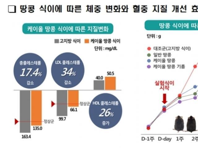 "땅콩, <strong>나쁜</strong> <strong>콜레스테롤</strong> 낮추고 좋은 건 높여"