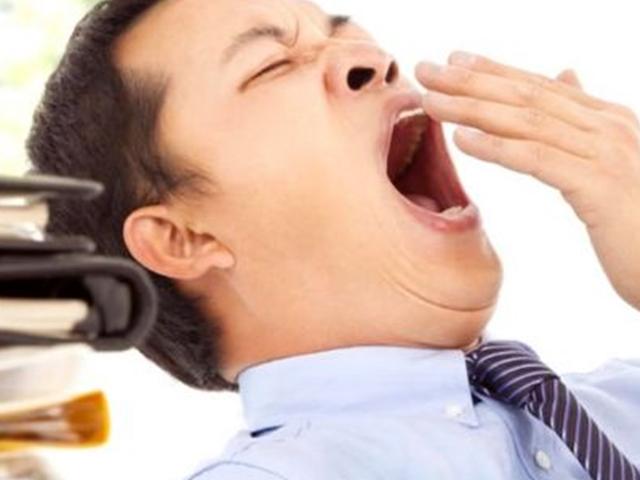 [과학을읽다]사람이 자지 않고 버틸 수 있는 시간은?