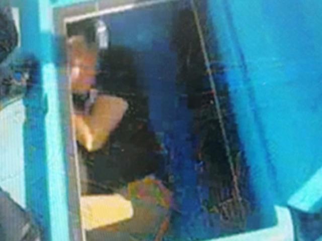 육지行 제주 활어차 열었더니, 생선 대신 불법체류자가…