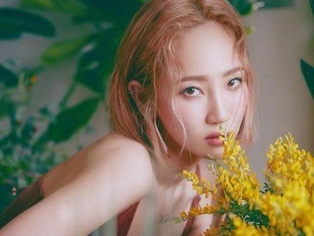 <strong>핫펠트</strong>(예은) 사기 연루 혐의 벗었다, 父만 사기혐의 검찰 송치