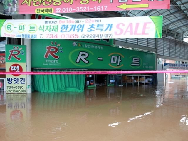 영덕·포항, <strong>태풍</strong> 콩레이로 극심한 <strong>피해</strong> 입어