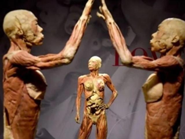"中 죄수 시신 사용 의혹"…스위스서 '인체의 신비전' 금지