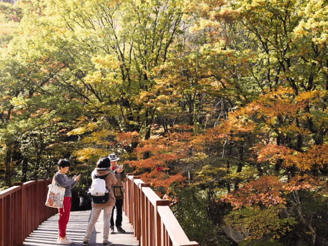 한라산 어리목코스-<br>제주 가을 단풍 추천 코스