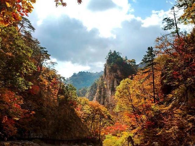 화려함 옷 입은 <strong>설악산</strong>의 가을에 마음을 뺏겼네