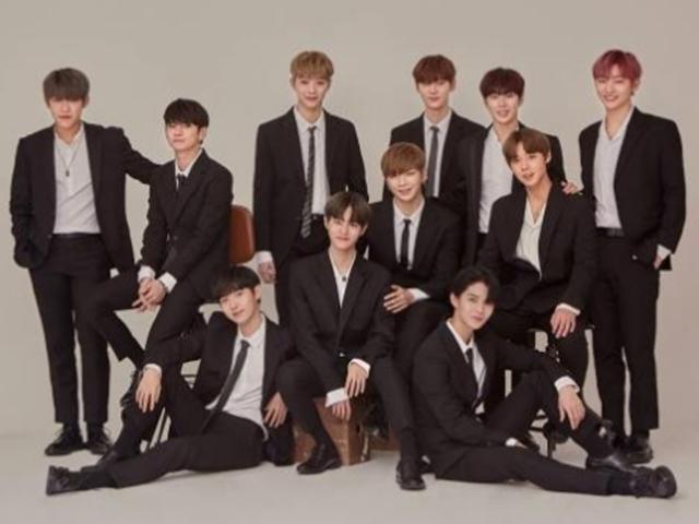 워너원 '헤드윅' 표절 논란…"조금 무례" vs "문제없다"