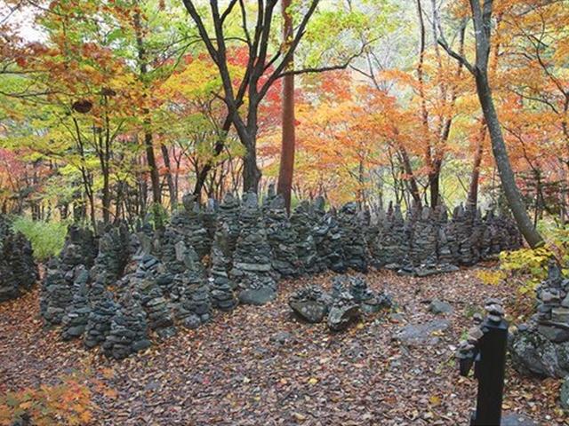 [카드뉴스] 자연·역사·문화가 공존하는 비경, 올림픽 아리바우길