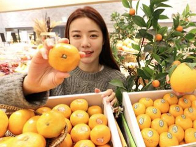북측에 보내진 귤 선물 가격은 총 얼마나 될까