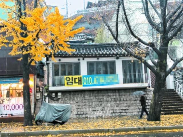 예술가들이 키운 삼청동, <strong>프랜차이즈</strong>에 망가졌다