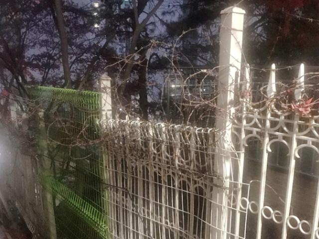 “<strong>임대주택</strong> 사는 걔, ‘캐슬’ 사는 우리 애랑 같은 길로 못 다녀”