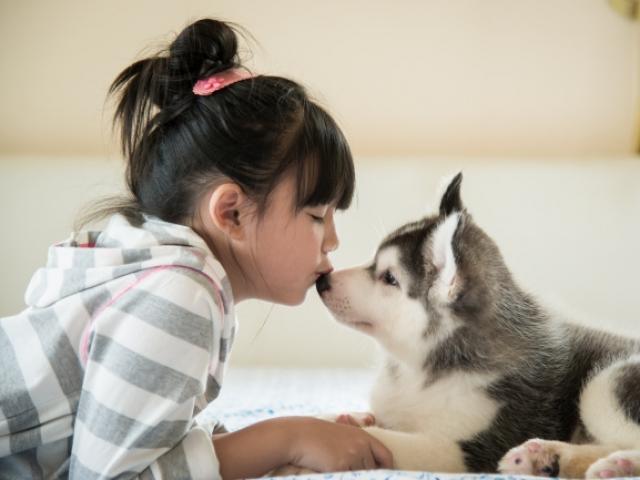 멍뭉이ㆍ냥이 추우면 안되지~펫 방한용품 뜬다