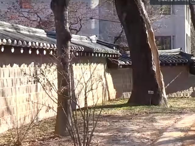 "이제 연인이 걸어도 헤어지지 않아요" <strong>덕수궁 돌담길</strong> 전구간 연결