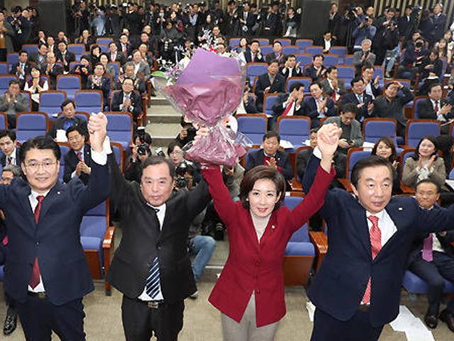 '보수 첫 여성 <strong>원내대표</strong>'…나경원 '당선' 의미들