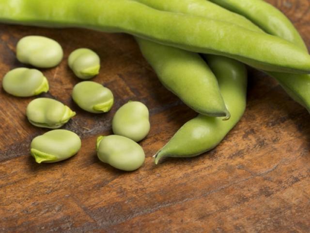 이탈리아 장수마을에서 즐겨 먹는 ‘파바콩’이 뭐죠?