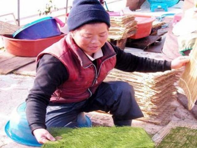 입 안에 넣으면 바다 향이 가득…겨울철 별미 ‘감태’ 맛있게 먹는 법?