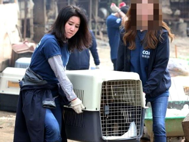 ‘천사’로 불린 케어 <strong>박소연</strong> 대표, 왜 ‘비밀 안락사’ 선택했나