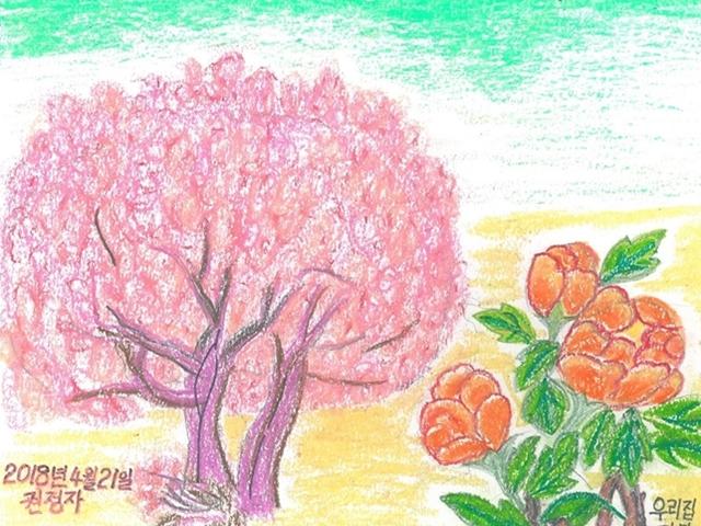“삐뚤빼뚤 서툴지만 살맛 나” 노년에 글 배우는 순천 할머니들의 <strong>그림일기</strong>