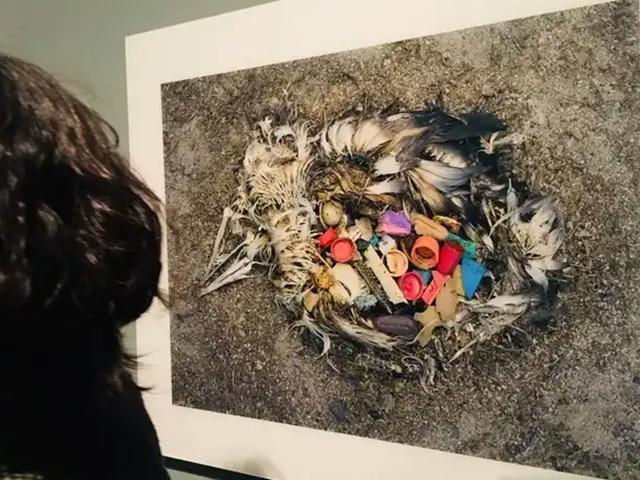 플라스틱, 그 견딜수 없는 아름다움...크리스 조던의 '만다라'