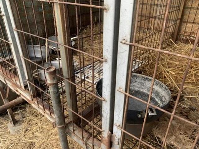 "개농장 그만둔 게 가장 잘한 일" 한 농장주의 고백