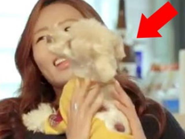 강남 반려견은 알았다? 이상화 보고 꼬리 살랑살랑…과거 방송 재조명
