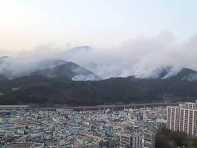 해운대 도깨비 <strong>산불</strong> 18시간 만에 제압…실화 가능성 수사(종합)