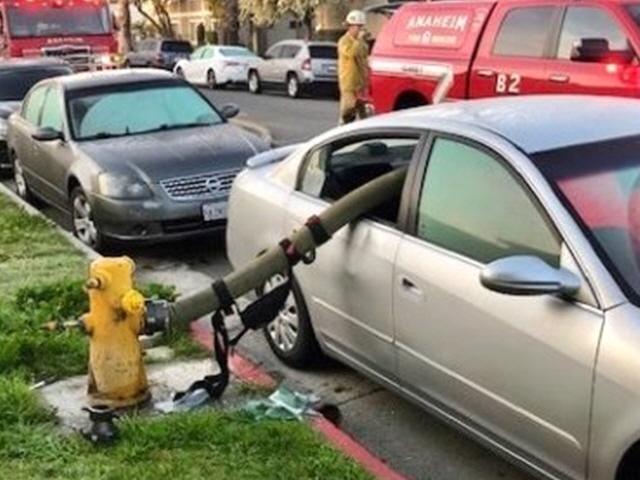 소화전 앞 BMW 박살냈다···'속 시원한' 해외 소방차