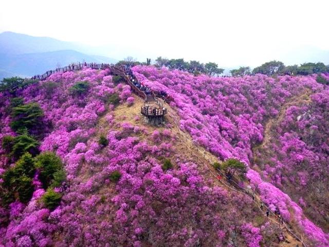 초보자도 부담 없이 등산! 경치 좋고 운동되는 산 추천