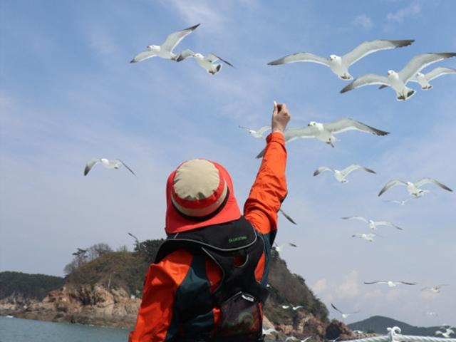 망망대해에 불 밝힌 등대의 느린 낭만··· <strong>충남</strong> 태안 무인도 <strong>여행</strong>