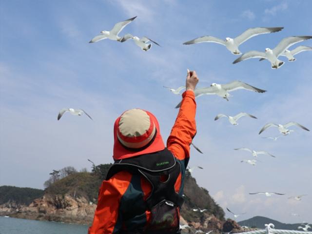 망망대해에 불 밝힌 등대의 느린 낭만··· 충남 <strong>태안</strong> 무인도 <strong>여행</strong>