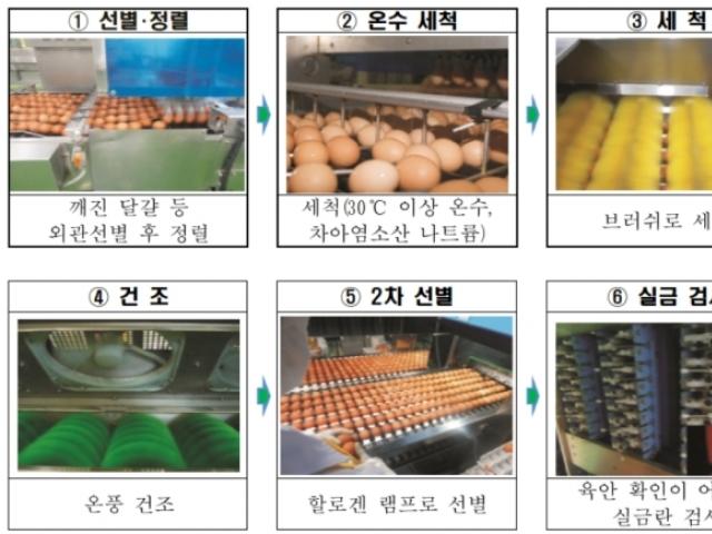 오늘부터 가정용 달걀, 살균 등 <strong>위생</strong> 강화…선별포장 의무화
