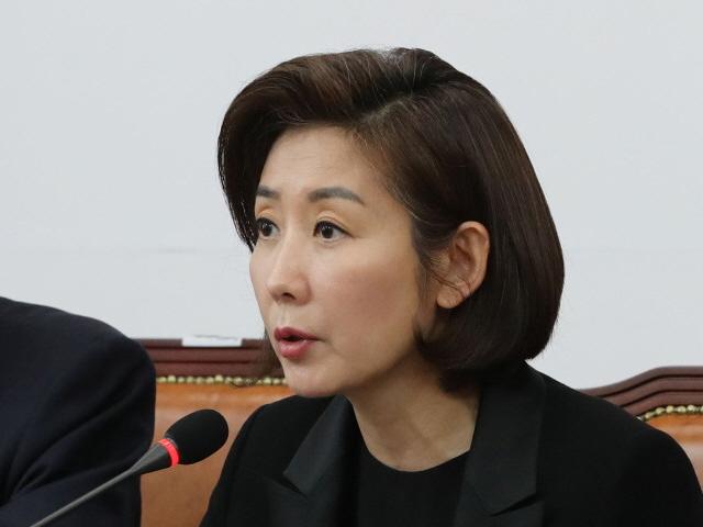 나경원 “한국당 <strong>해산</strong> <strong>청원</strong> 北서 하라는대로”…北 음모론 제시