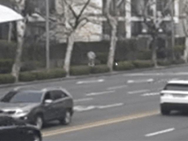 다친 아이 데려다준 은인의 정체, 알고보니 '전동휠 뺑소니범'