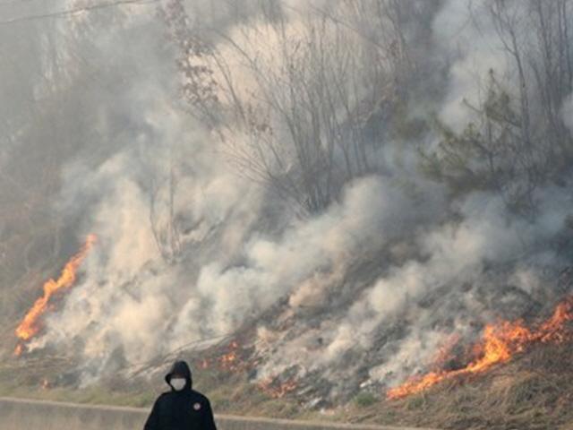 "잡풀태우다 <strong>축구장</strong> 483개 태워" 인제산불 실화자는 고령의 주민