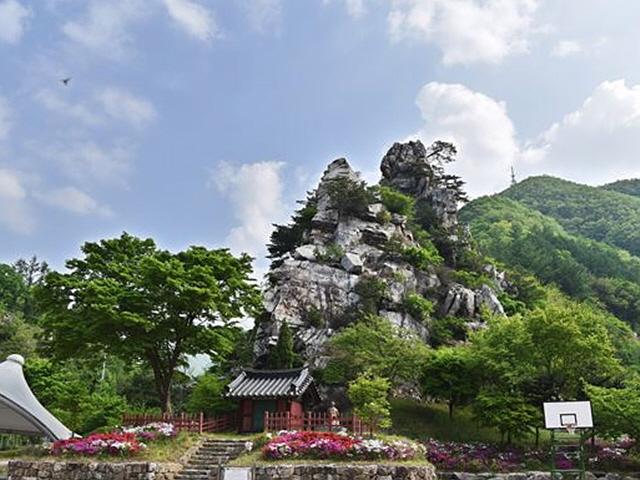 불꽃처럼 청춘을 사르고… 자연으로 돌아간 산골마을