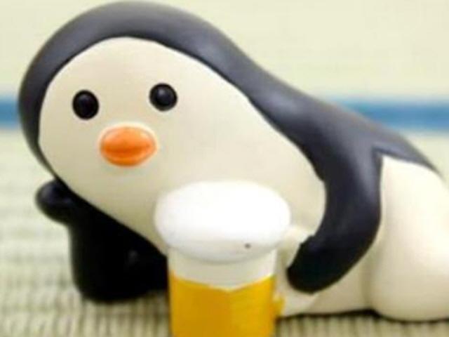 "갑자기 분위기 펭귄?" <strong>프로필</strong> <strong>사진</strong>에 등장한 '펭귄 문제'