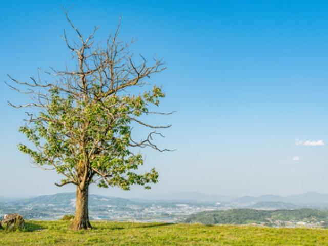 더워지기 전에 거닐까… 6월 추천 <strong>걷기</strong><strong>여행</strong>길