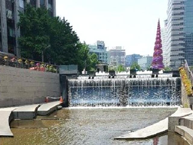 코 찌르는 '청계천 악취'…외국인 "아름다움 파괴"