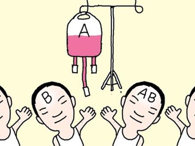 수혈 못해 발동동… 이런 비극 사라진다