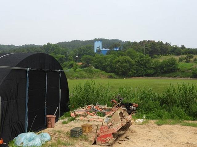 99명 중 22명이 <strong>암</strong>환자···전북 '<strong>장점</strong><strong>마을</strong>의 비극' 범인은 비료공장