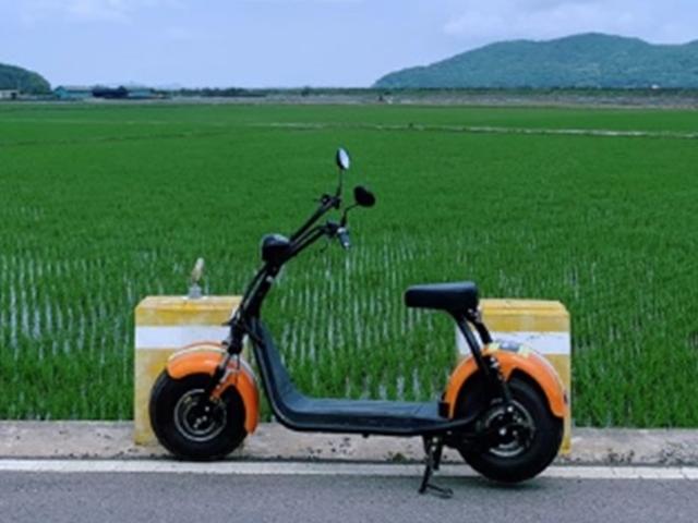 치앙마이가 따로 없네…전동스쿠터타고 인천 섬여행