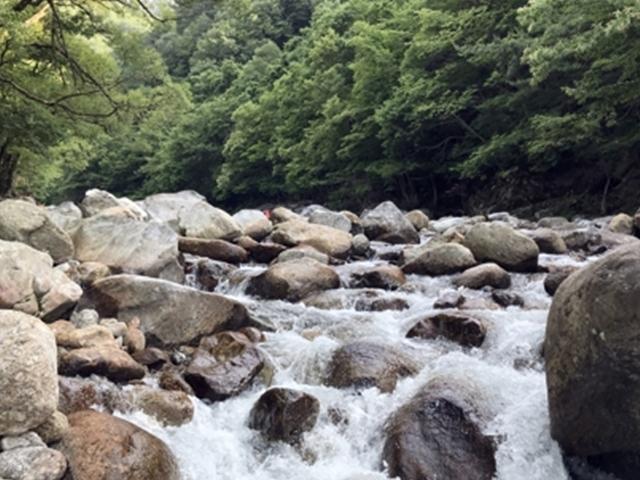 숲·계곡·바다 한곳에…입도 즐거운 피서지