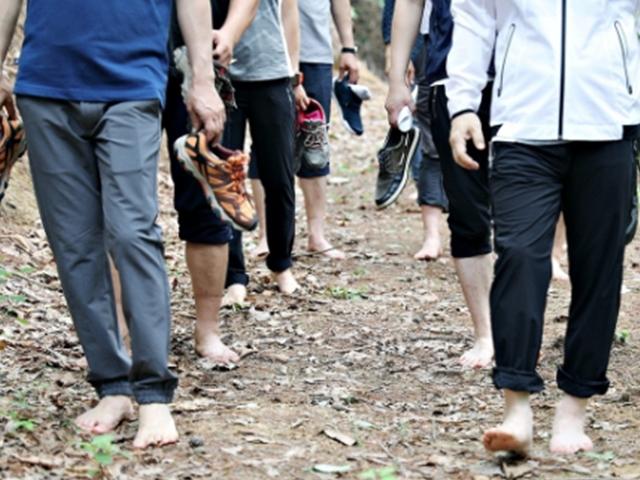 "<strong>숲속</strong> 다이어트 할까?"…휴가철 이색 산림프로그램