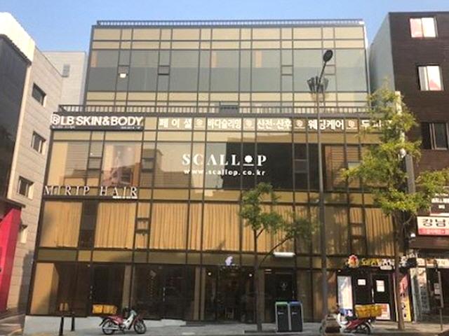 6살 유튜버 보람이 가족회사, 95억 <strong>청담</strong>동 빌딩 매입