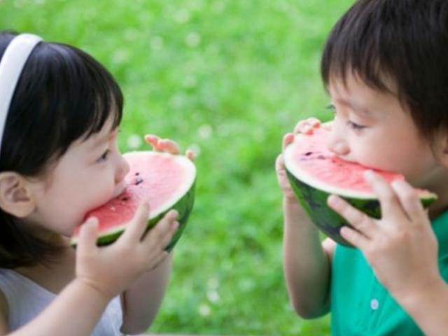 잘 익은 수박, '통통' 소리만으로는 모른다?