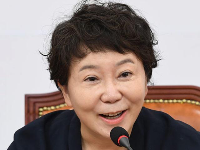 정미경 "<strong>한일</strong> <strong>갈등</strong>, 자작극"…與 "아베의 주장