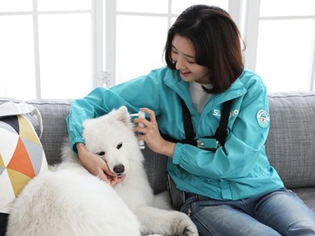 시급 2만원 반려견 산책···스타트업이 만든 '틈새 일자리'